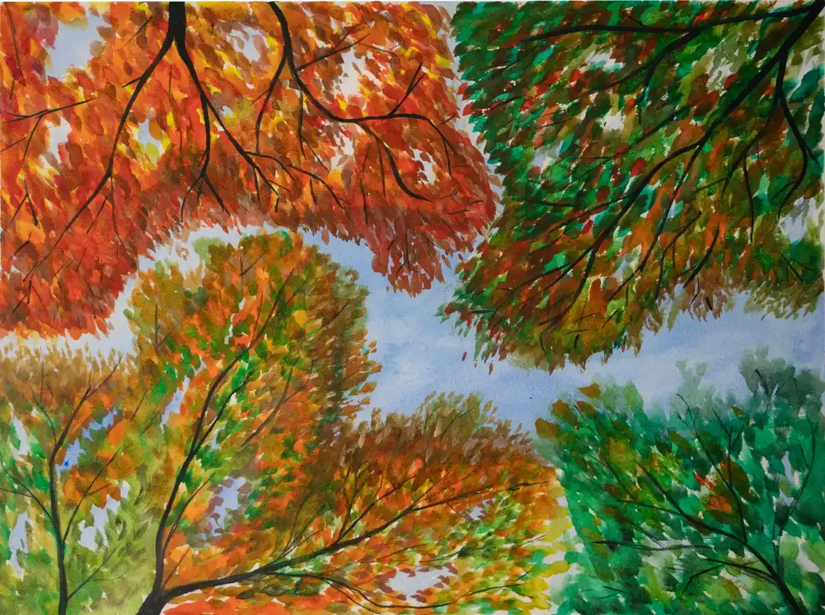 Light is not what it seems by Stefano Vivaldini